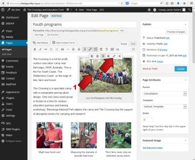 How to Edit Photos Using WordPress and Built-in Tools