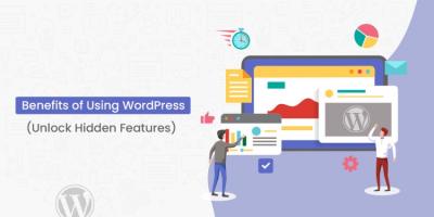 What You Get with a WordPress.com Account: A Detailed Look