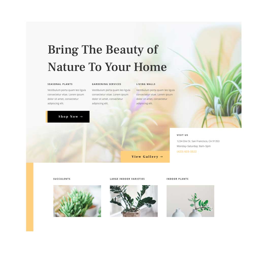 Discover the Top WordPress Themes for Your Website’s Design