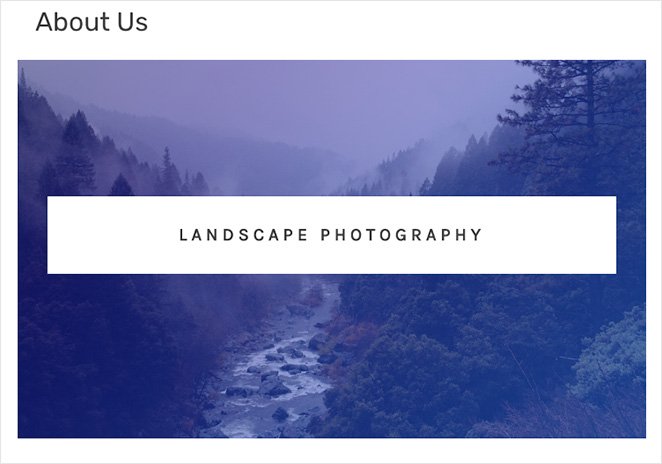 How to Add Text Over Image in WordPress Without Dulling the Image