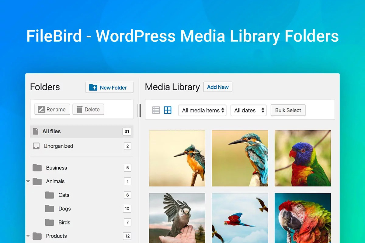10 Best Plugins to Organize Your WordPress Media Library