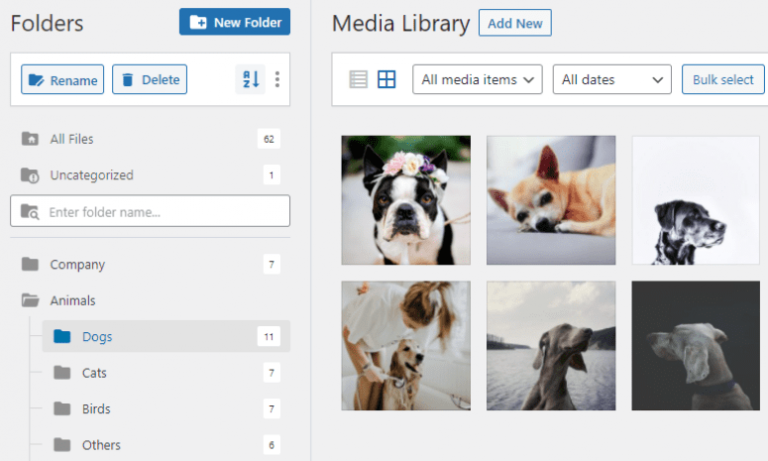 Organizing Media Files: How to Color Code Folders in WordPress
