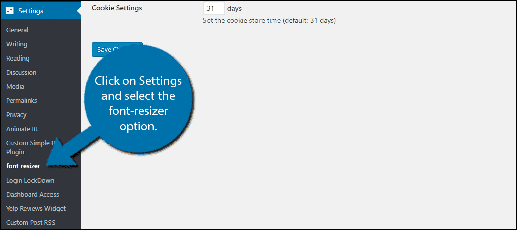 How to Add Zeno Font Resizer to Your WordPress Site for Accessibility