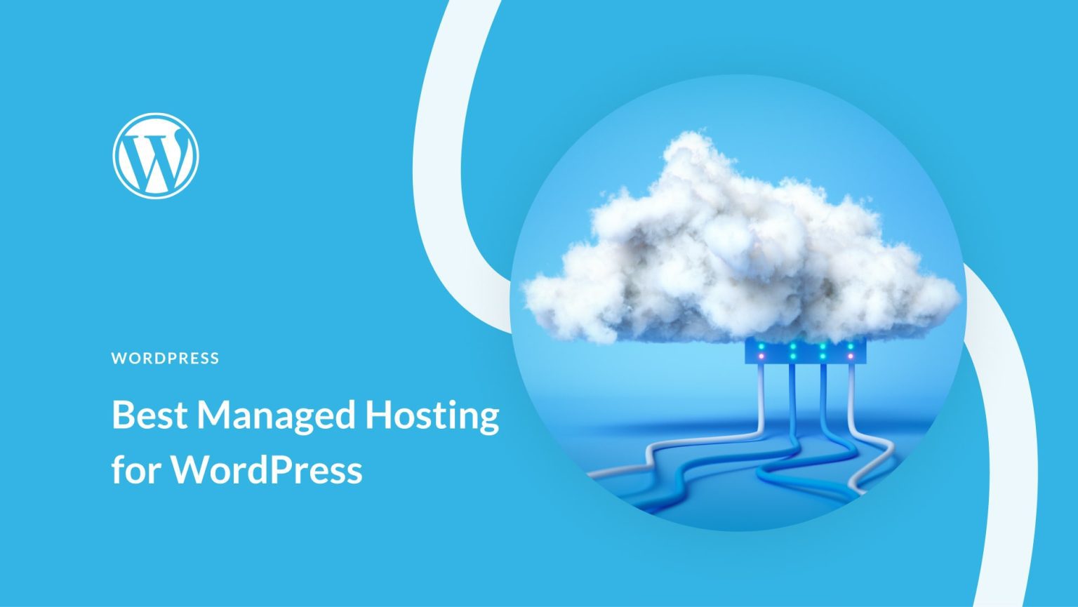 What is WordPress Hosting A Breakdown of Different Hosting Solutions