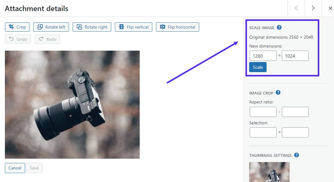 Understanding Social Image Size Requirements for WordPress and Elementor