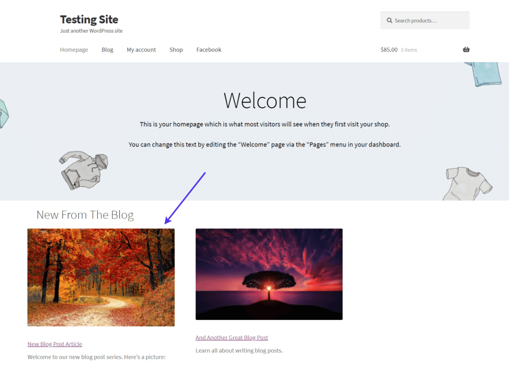 Fix WordPress Featured Image Not Showing Properly Or Not At All