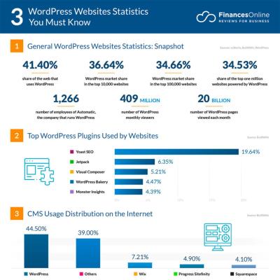Should You Choose Custom Web Development Over WordPress or Bootstrap?
