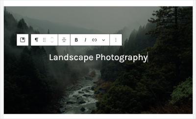 How to Add Text Over Image in WordPress Without Dulling the Image