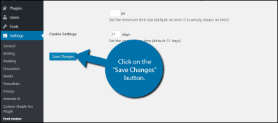 How to Add Zeno Font Resizer to Your WordPress Site for Accessibility