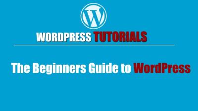 A Guide to Using WordPress.org for Open-Source Solutions