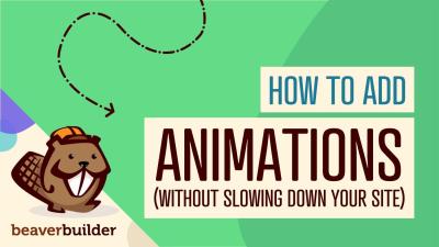 How to Add an Animated Video to Your WordPress Site for Dynamic Content