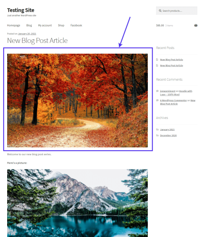 Why Your WordPress Featured Image Isn’t Showing on WhatsApp and How to Fix It