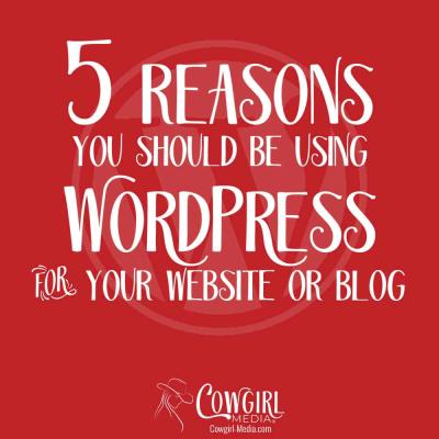 What Is WordPress and Why Should You Use It for Your Website?