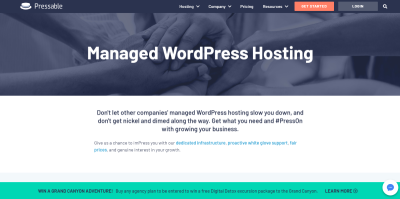 WordPress Hosting: Choosing the Best Plan for Your Website