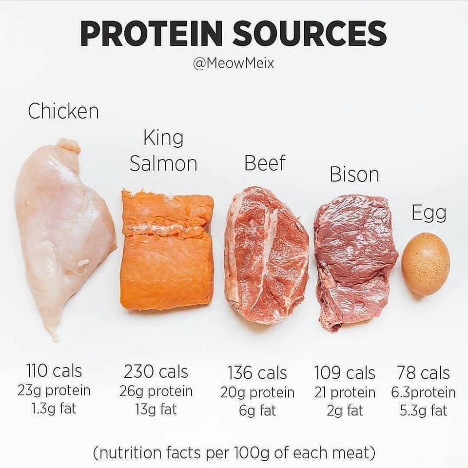 How Many Protein in Black Chickpeas in Urdu