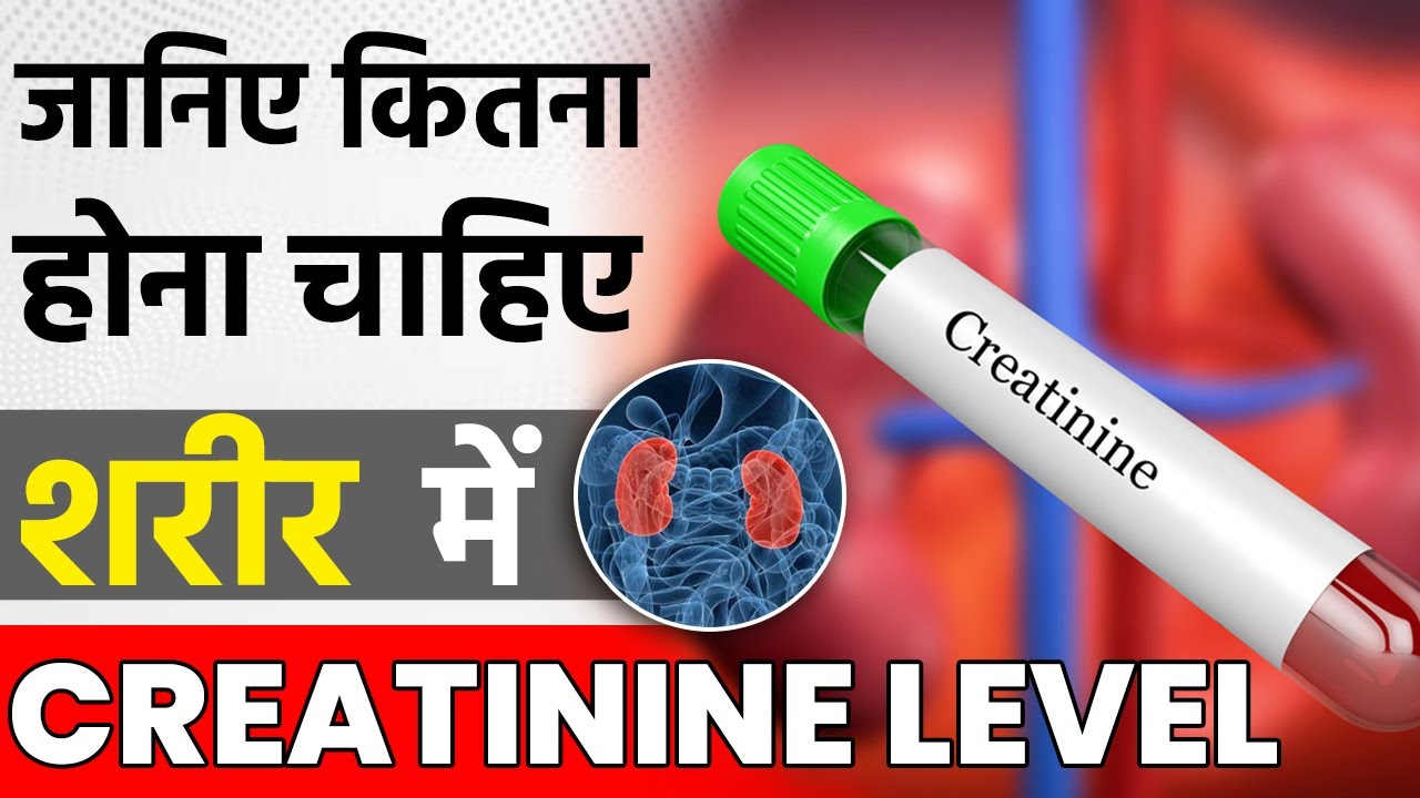         High Creatinine Level  YouTube