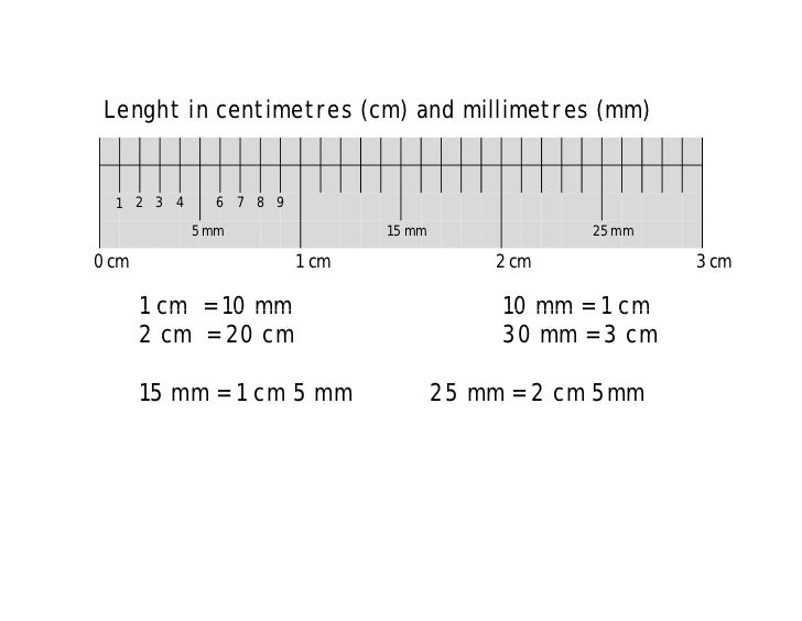 Math primary 3 measurments