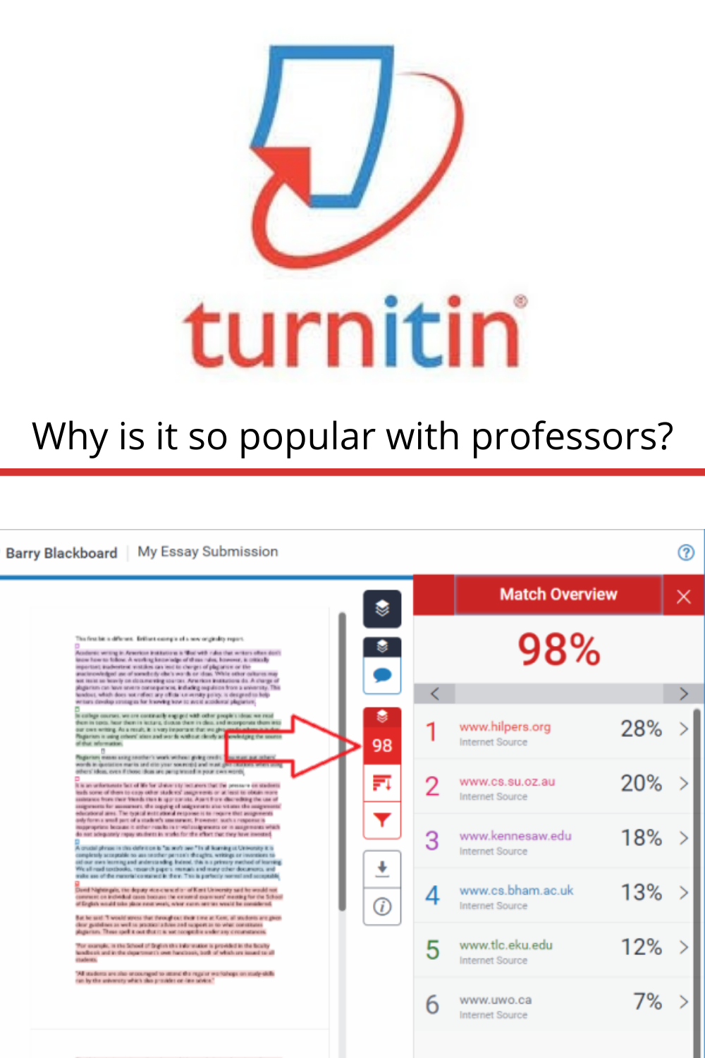 how to check plagiarism using turnitin  Liam Walker