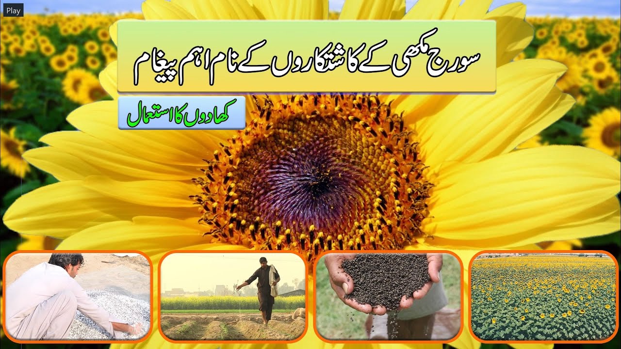 How Hot Is the Sun in Urdu