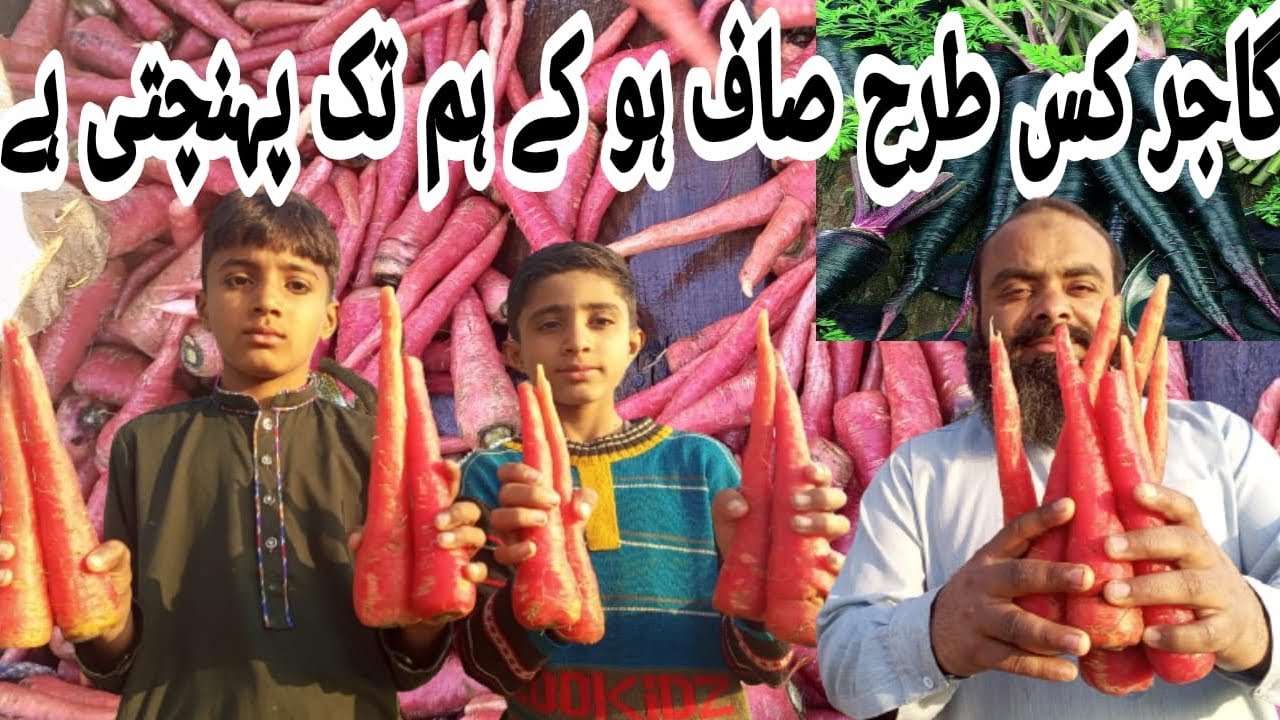 How to be Respected and Admired in Urdu