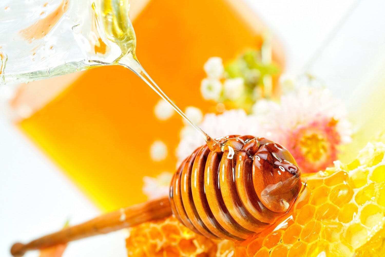 How to Identify Pure Honey what is the taste of pure honey  HerbsAsia