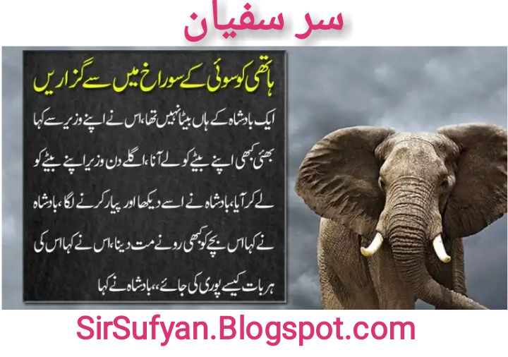 How to Draw an Elephant in Urdu