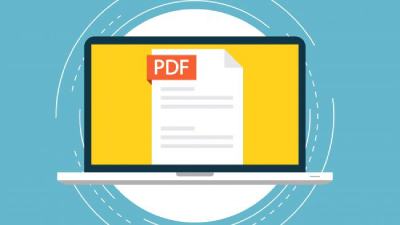  PDF   