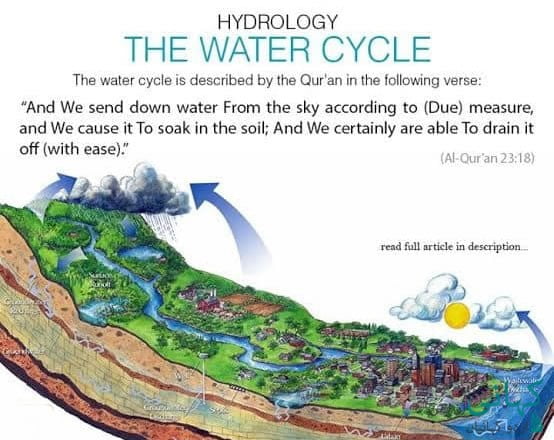    water cycle          