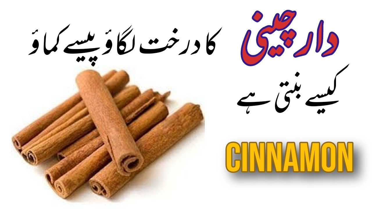 How to Lower Sugar in Urdu