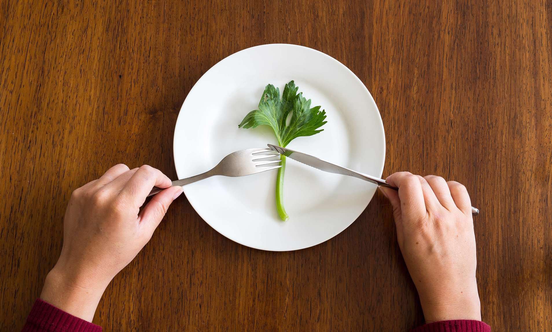 How Many Calories to Take to Lose Weight in Urdu