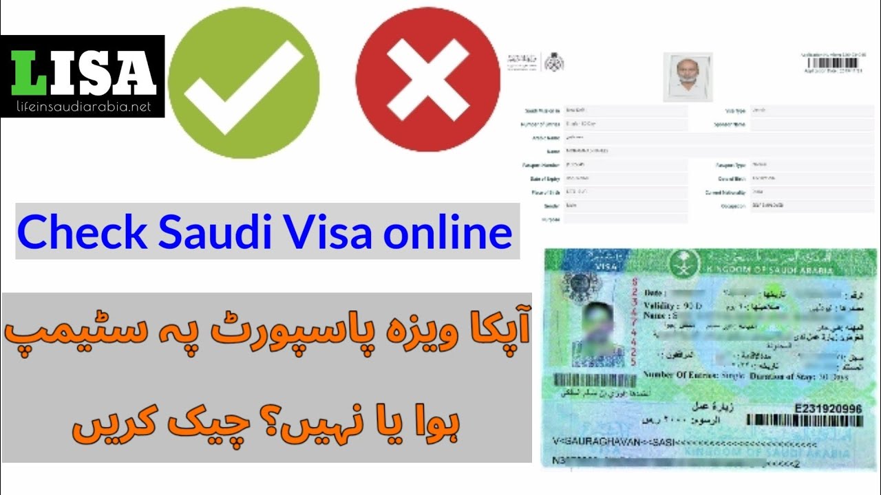 How to check Saudi visa status with passport number UrduHindi  YouTube