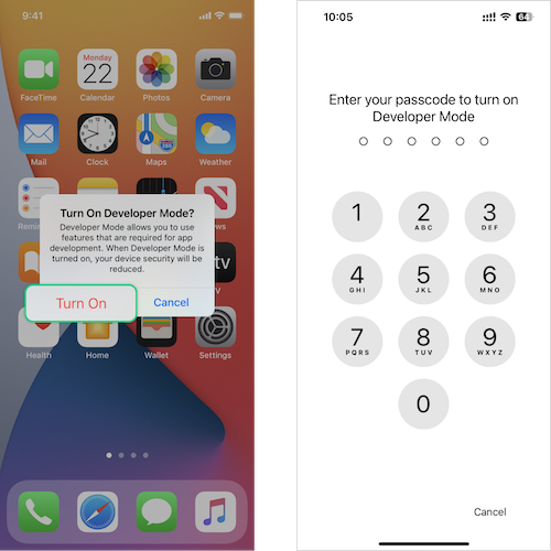 StepbyStep Guide How to Enable Developer Mode on iPhone