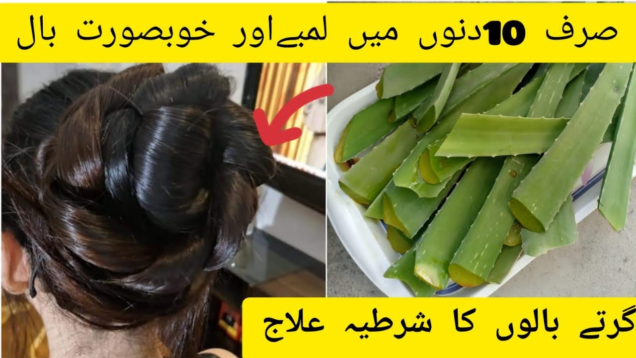 How to Apply Aloe Vera on Hair in Urdu