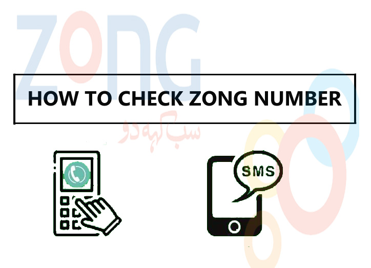 How to Check Zong Number  Zong Number Check Code