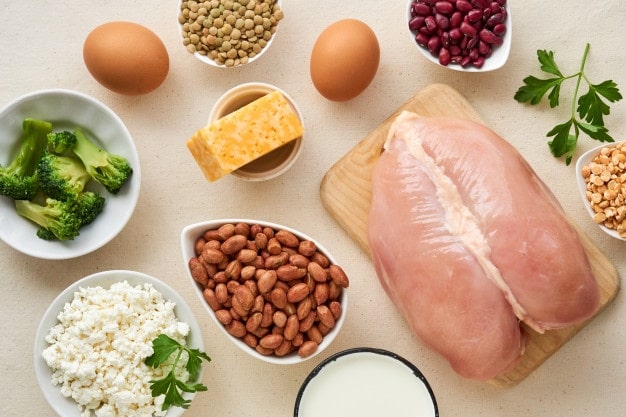 How Many Protein Should I Eat a Day in Urdu