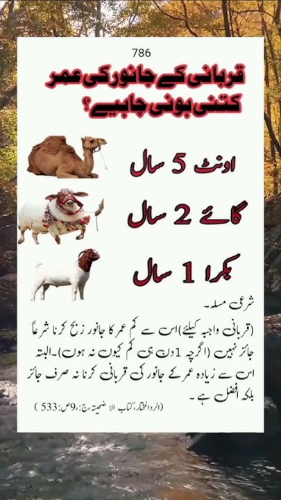         islamicpoetry trending  