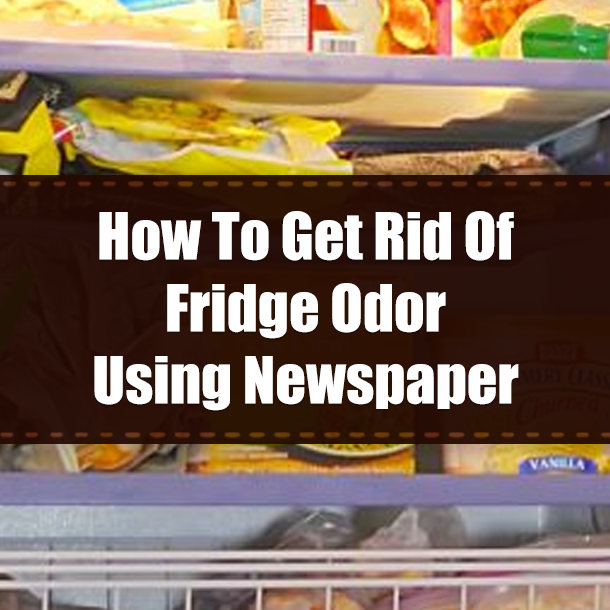 How to Remove Odor from Fridge in Urdu