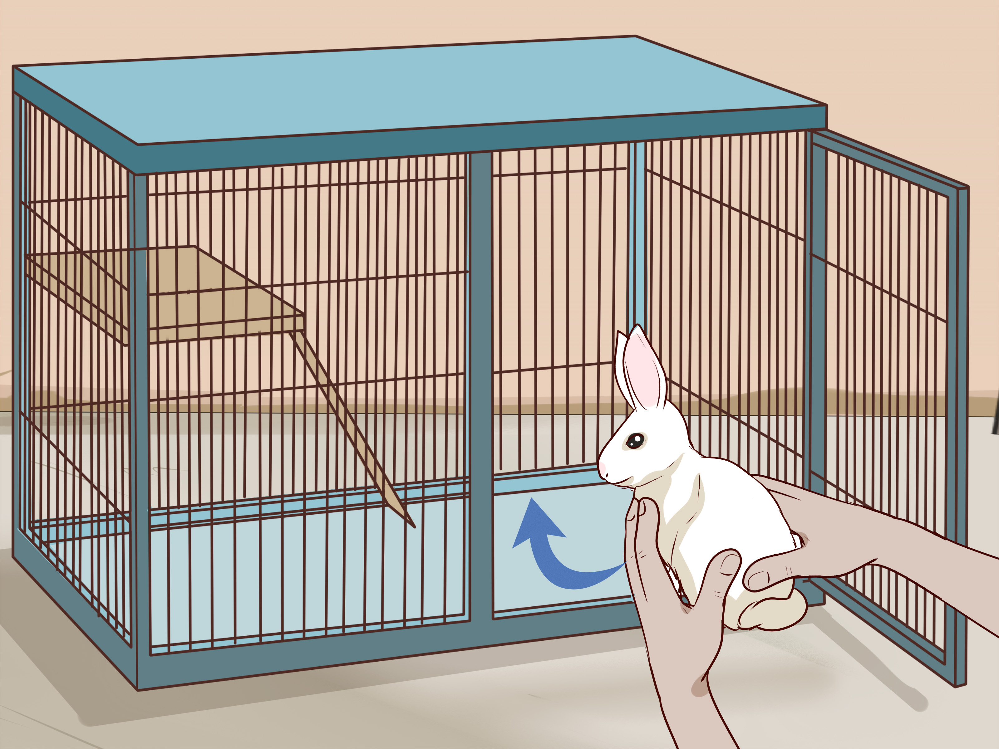 Een konijn aaien 10 stappen met afbeeldingen  wikiHow