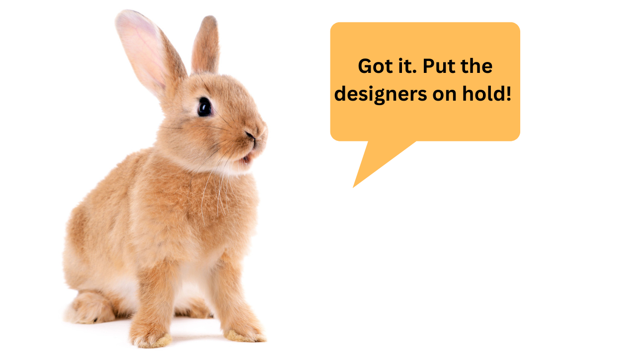 The Ultimate Rabbit Habitat  Quick Setup  Small Pet Select Blogs 