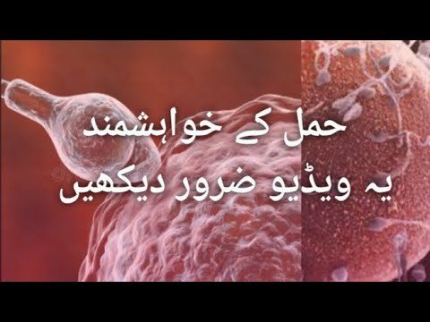 How to Prevent Pregnancy in Urdu