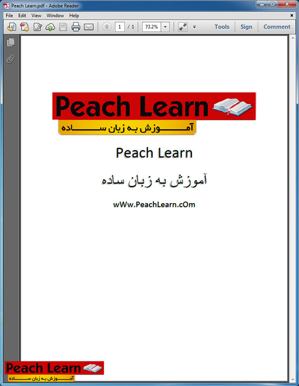    PDF         