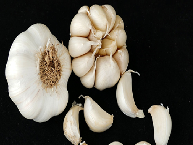         Know the benefits of garlic