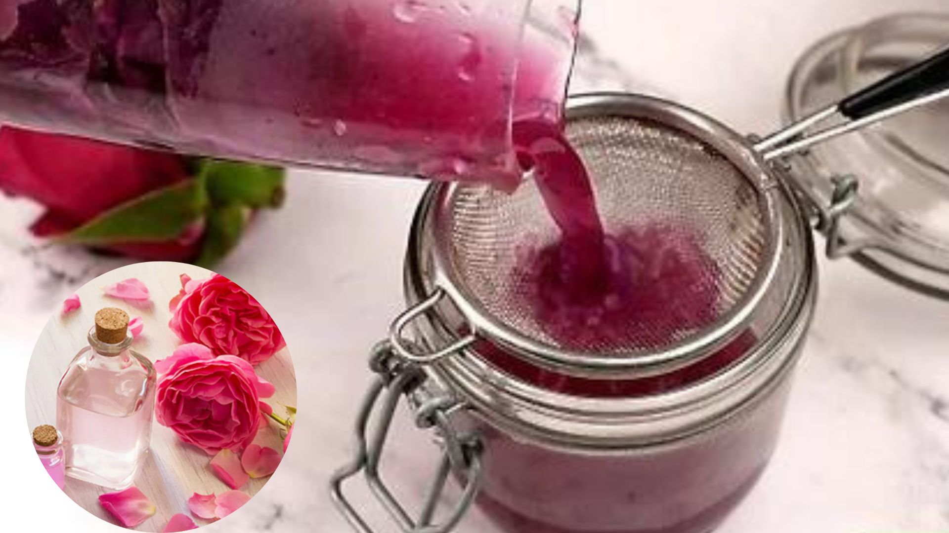 Rose Water Making This Is How Rose Water Can Be Easily Made At Home 