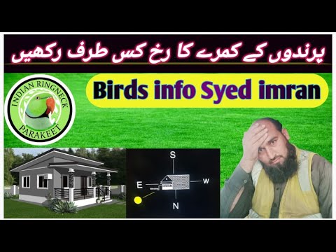 How to Build a New Birds Farm in Right Direction     