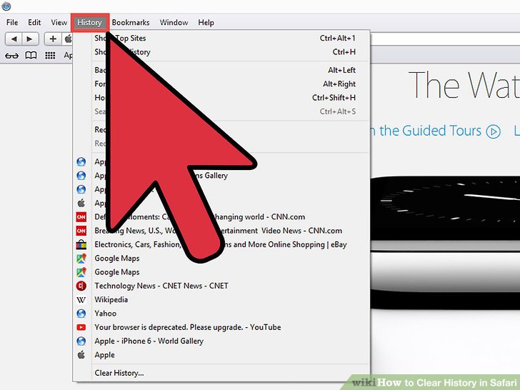 4 Ways to Clear History in Safari  wikiHow
