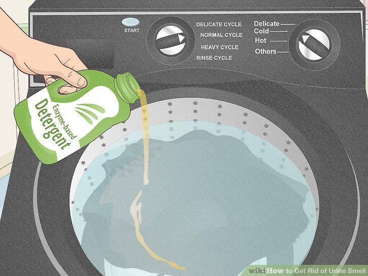 4 Ways to Get Rid of Urine Smell  wikiHow