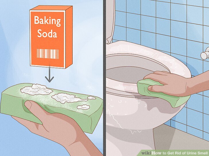 4 Ways to Get Rid of Urine Smell  wikiHow