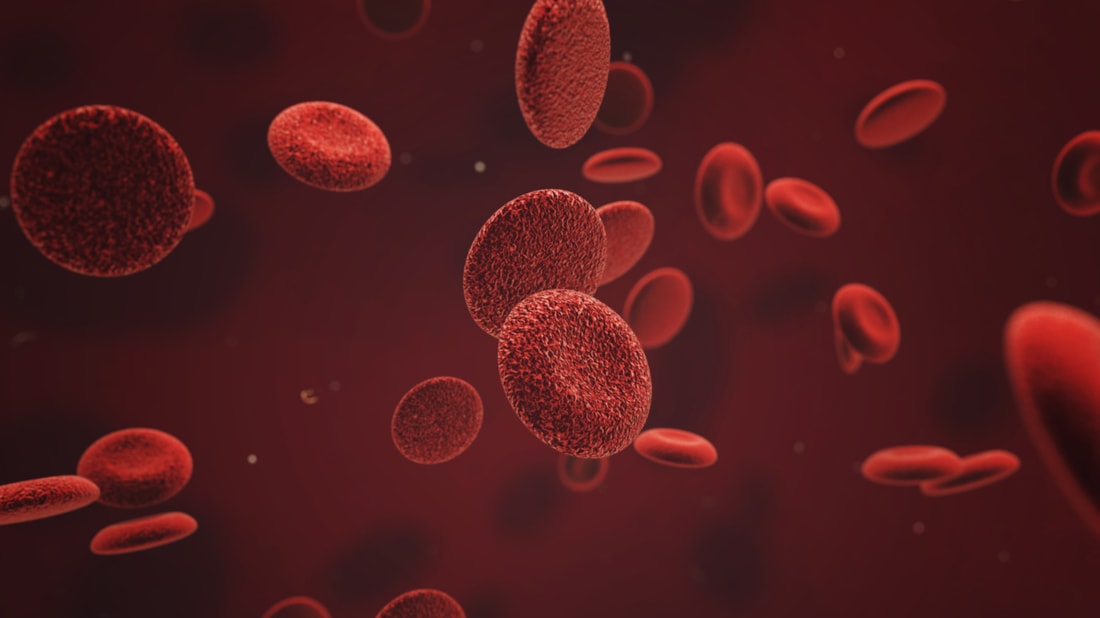 How Much Blood Is in the Human Body  Mental Floss