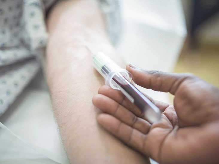 How Much Blood Is in the Human Body