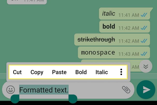 How to Put Italics in WhatsApp in Urdu